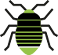 Bed Bug Treatment