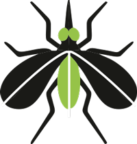 Mosquito Treatment